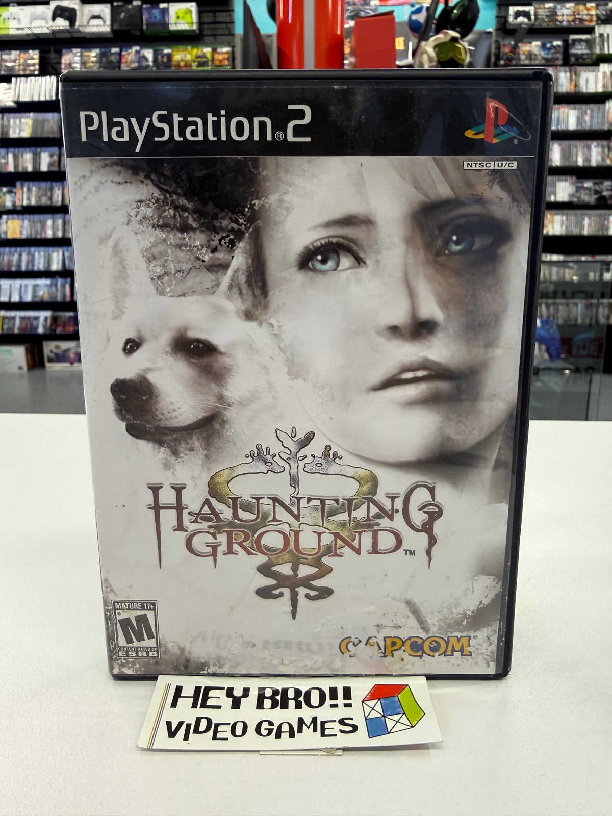 Haunting Ground - PS2 (CIB)